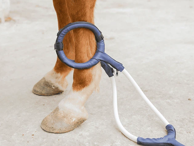 Butterfly Ring - PEMF machine accessory designed for equine joint therapy Butterfly Ring - PEMF machine accessory designed for equine joint therapy