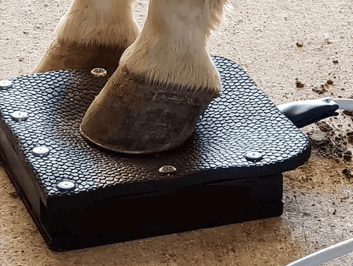 HOOF BOX-PEMF machine accessories for horses HOOF BOX-PEMF machine accessories for horses